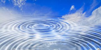 Le Conseil – En réponse à quelques questions – #18